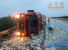上饒：運魚車高速側翻 9噸鮮魚“路上游”