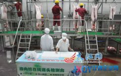 江西舉辦生豬定點屠宰企業開放日