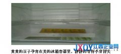 冰箱里養(yǎng)豆芽 美的冰箱再創(chuàng)“鮮”境界