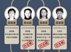 陜西房姐涉嫌偽造國家機關公文印章罪被批捕