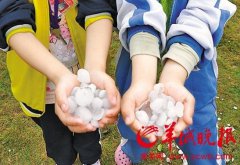 東莞遇暴雨大風冰雹8死136傷：汽車被掀翻