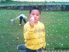 廣西部分地方遭冰雹襲擊 數百民房受損(圖)