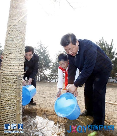 七常委集體乘車參加義務植樹 習近平接連種4棵