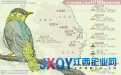 農業部：H7N9或由候鳥帶入 國內未在動物中檢出