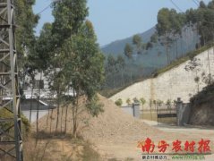廣東“墳爺”被立案 民政局長等7名官員遭查處
