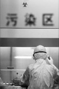 H7N9禽流感檢測1次成本約2千元 1天能出結果