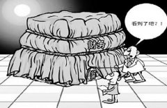 分析稱31省份公開信息不到1/3 真實性有待考察