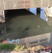 昌江廣場人工湖無護欄導致小孩溺水身亡 管理處