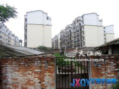 南昌一養豬場與居民小區只隔一墻 惡臭難忍[圖