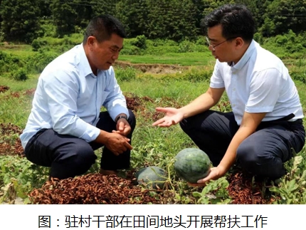推動主題教育見行見效  為鄉(xiāng)村振興戰(zhàn)略貢獻國壽力量