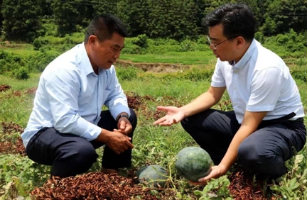 推動“百千萬工程”落地  國壽壽險著力提升服務鄉村振興實效
